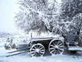 car and tree and snow