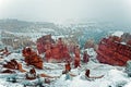 Very cold snowy day in Bryce Canyon Royalty Free Stock Photo