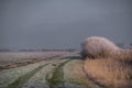 Very cold weather in the Netherlands in the rural region of the dutch farm lands