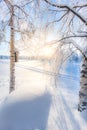 Very cold winter day scenery from Sotkamo, Finland.