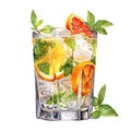 Very colorful drink with orange, mint and ice