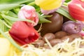 Very colorful graphic resource with tulips and chocolate eggs for Easter and the arrival of spring