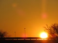 Sunrise over road with lamp posts and trees with yellow sky