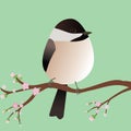 Cute egg shaped Chickadee bird