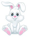 Easter Bunny Rabbit Cartoon Royalty Free Stock Photo