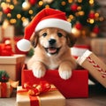 very cute little puppy wearing a santa hat Royalty Free Stock Photo