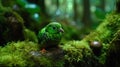 A Very Cute Little Shamrock Bird In A Mossy Forest Blurry Background