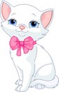 Very Cute white cat Royalty Free Stock Photo