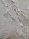 Very Damaged White Wall Detail, with Mold and Cracks