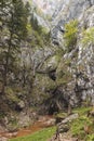 Very dangerous trail along wooden ladders in the southeast of Austria in the Fischbach Alps to top of the Hochlantsch through