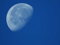 Very dense close-up of a decreasing moon in the morning sky