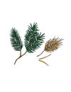 Detailed drawings of pine needle branches