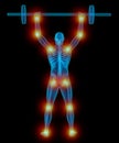 Very detailed and medically accurate 3D Illustration of a translucent man lifting weights