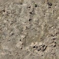 Very detailed seamless texture pattern of acre ground and dirt in high resolution