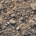 Very detailed seamless texture pattern of acre ground and dirt in high resolution