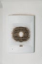 Very dirty and dusty white plastic ventilation grill. Ventilation shaft in the apartment. dirty air filter. Royalty Free Stock Photo