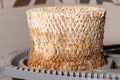 Very dirty humidifier filter with dust, descale, hair and mold