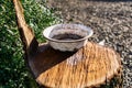 A very dirty old and metal enameled Cup, the plate stands on a brown sawn log with