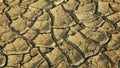 Drought cracked pond wetland, swamp drying up soil crust earth climate change, surface extreme heat wave caused crisis,