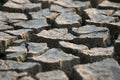 The very dry cracked earth gray Royalty Free Stock Photo