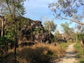 Very dry landscape around Darwin, Australia that can catch fire quickly Royalty Free Stock Photo