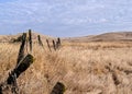 Very dry pasture in California Royalty Free Stock Photo