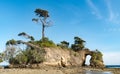 Natural Coral Bridge aka Howrah Bridge by locals of Neil Island Saheed Dweep.With native vegetation, dead corals during low tide Royalty Free Stock Photo