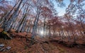 Forca d`Acero, Abruzzo National Park, Italy Royalty Free Stock Photo