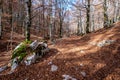 Forca d`Acero, Abruzzo National Park, Italy