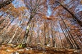 Forca d`Acero, Abruzzo National Park, Italy