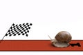 Very fast snail Royalty Free Stock Photo