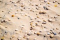 Beach with a lot of seashells on seashore in South Padre Island, Texas Royalty Free Stock Photo