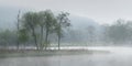 A foggy morning on the banks of Loch Ard Scotland Royalty Free Stock Photo