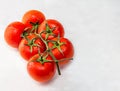 Very fresh and healthy vine tomatoes with water drops on an  white background Royalty Free Stock Photo