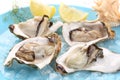 Very fresh steamed oysters with lemon juice