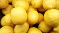 very fresh yellow lemon