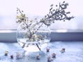 gentle art photo watercolor branches of flowering fruit trees in a transparent vase.