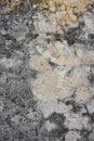 Very grungy cement wall Royalty Free Stock Photo