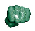 Fist of a man punching - African Union