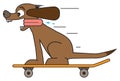 Dog on a Skateboard