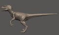 3d rendered velociraptor dinosaur side view close up 3d render