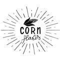 Very high quality original trendy vector lettering illustration of sweet corn. Bunch of Corn. summer farm design