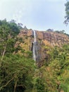 Diyaluma waterfall in sri lanka