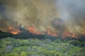 Runaway coastal bush fire