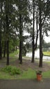 Joaquina Rita Bier Lake in the city of Gramado in Rio Grande do Sul, Brazil