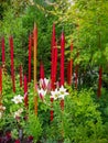 Very Interesting garden with glass and live plants