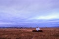 Very Large Array of radio astronomy observatory dishes in New Mexico