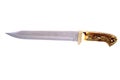 Bowie Knife isolated over white