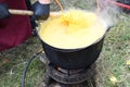 Very large cauldron cooking food during campfire, big pots on fire preparing during food festival