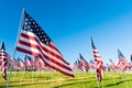 A large group of American flags. Veterans or Memorial day display Royalty Free Stock Photo